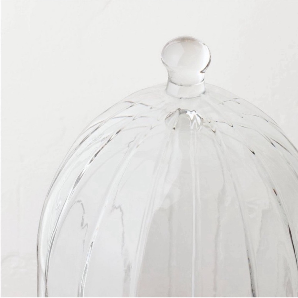 Hearth & Hand with Magnolia  11.5" Decorative Cloche Clear Dome with Base - Picture 3 of 4